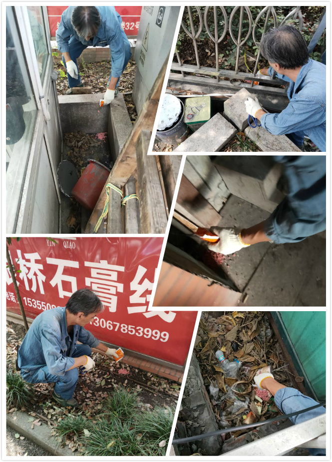 9227新葡的京集团市场开展冬季灭鼠