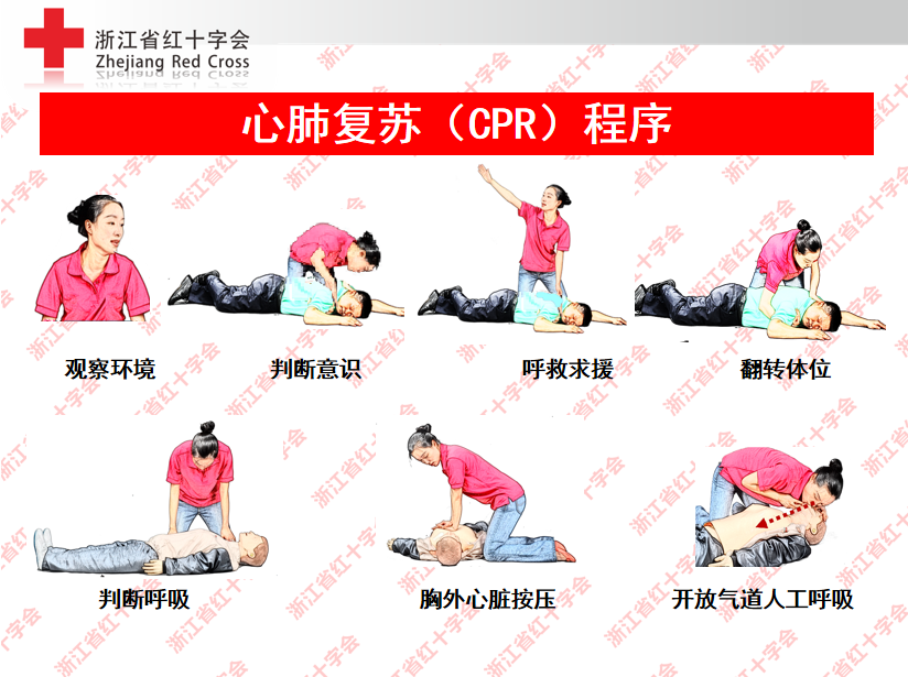 抢救知识手艺培训