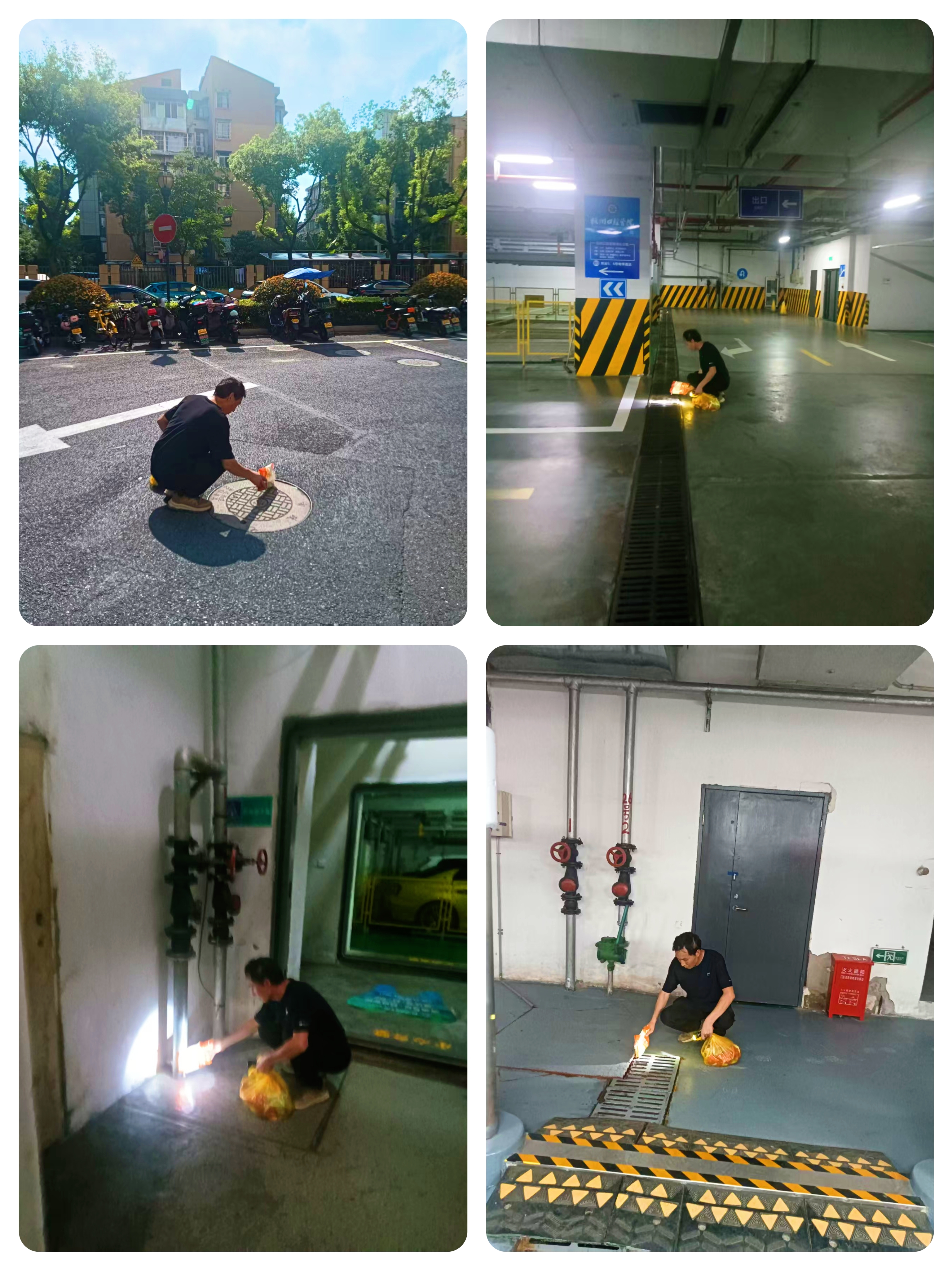 水晶城开展“清积水、除四害”专项行动 筑牢康健防线