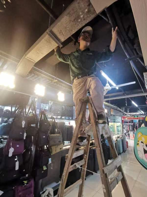 夏日除四害，，，，，钱江在行动