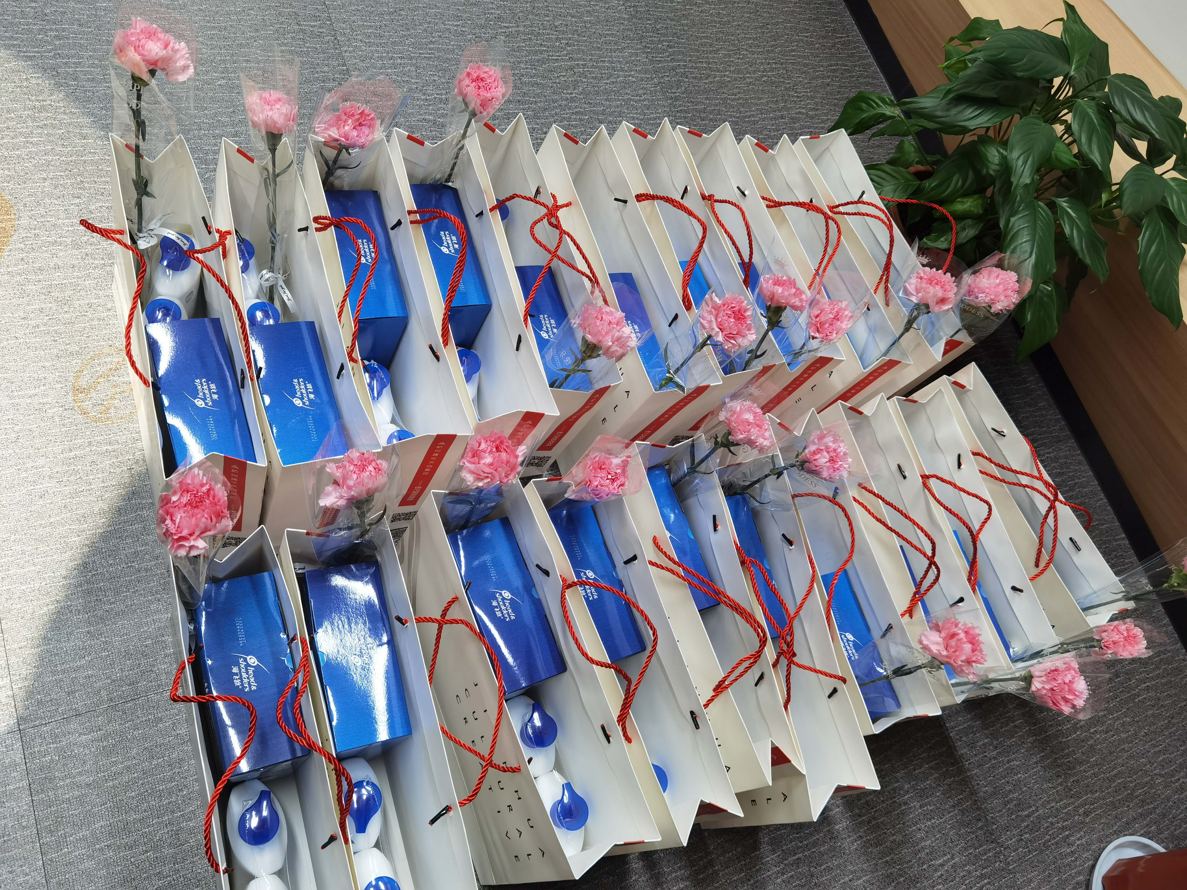 情暖三八 9227新葡的京集团文创集团工会起劲开展送温暖活动 