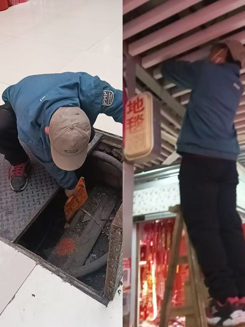 春季打响康健守卫战?钱江商城除四害在行动