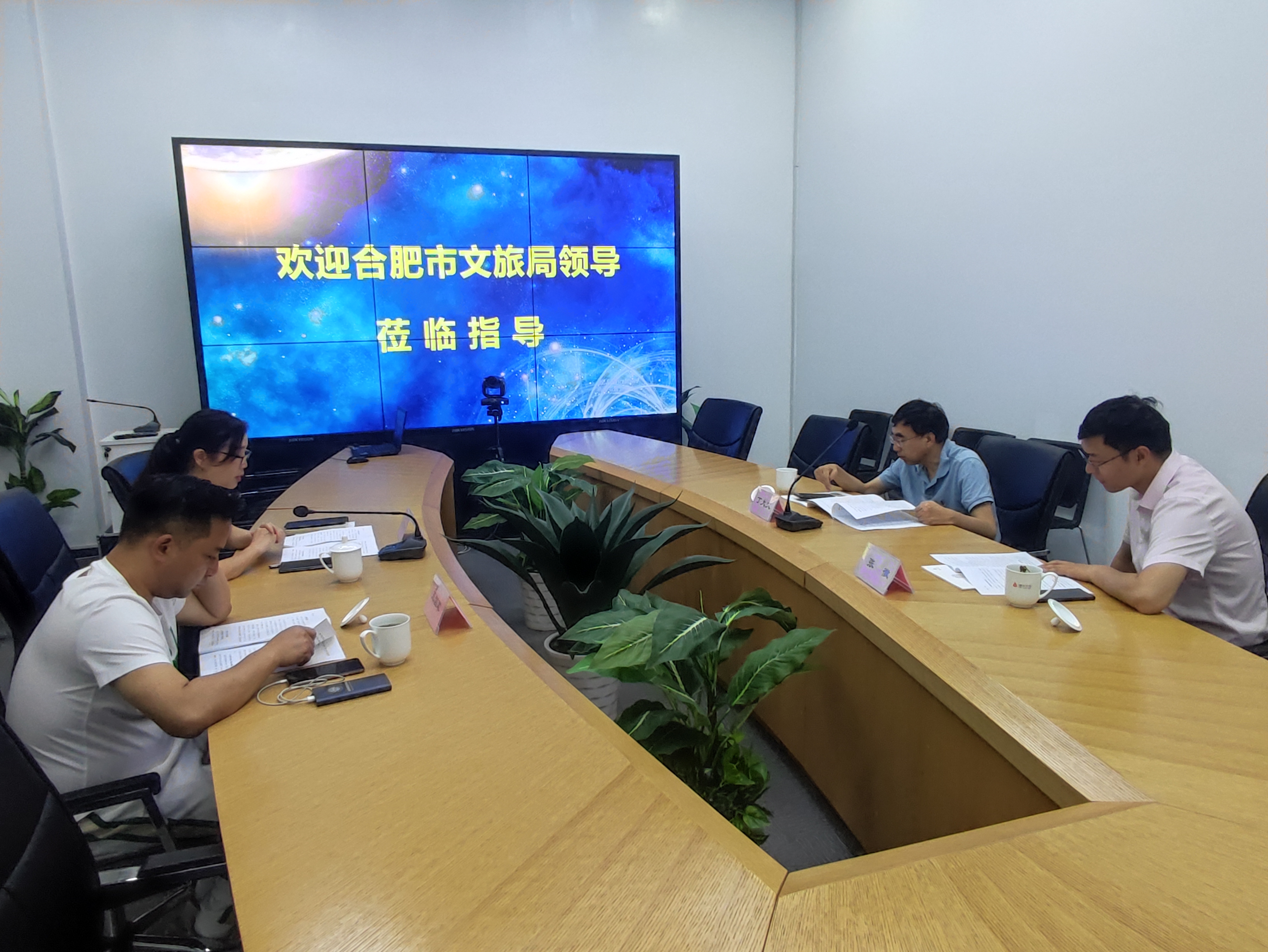 合肥市文化旅游局丁大文处长一行莅临9227新葡的京集团文创集团调研