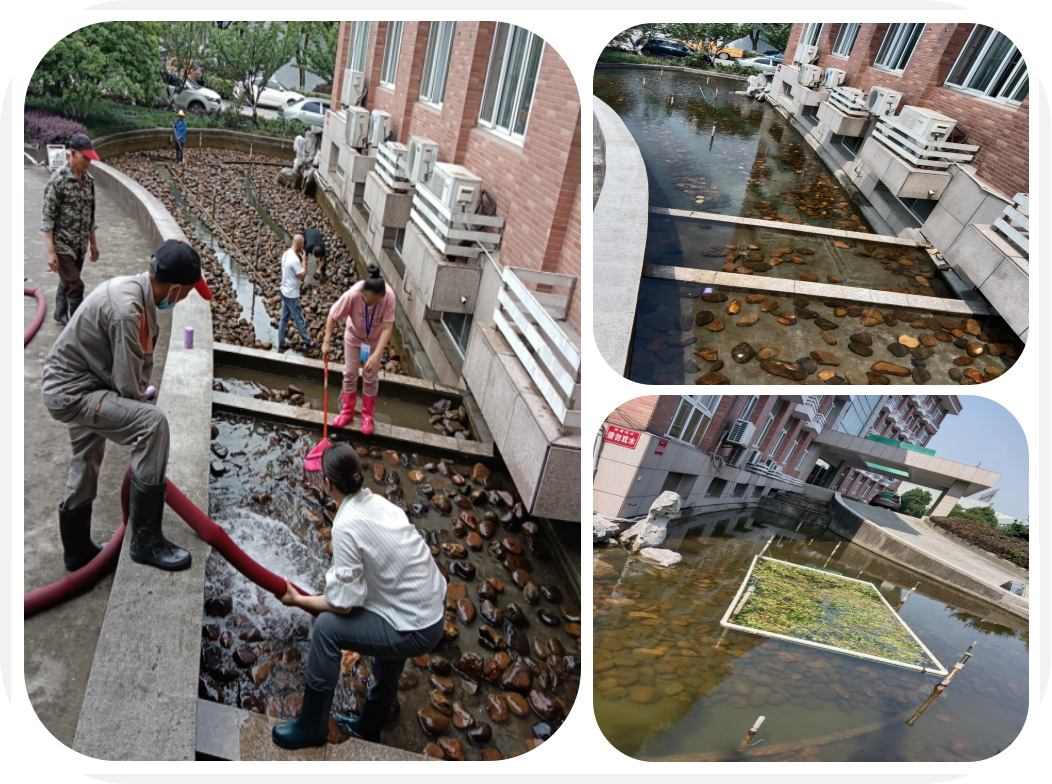 焕然一新，，，，园区景观池迎来“大洗之日”