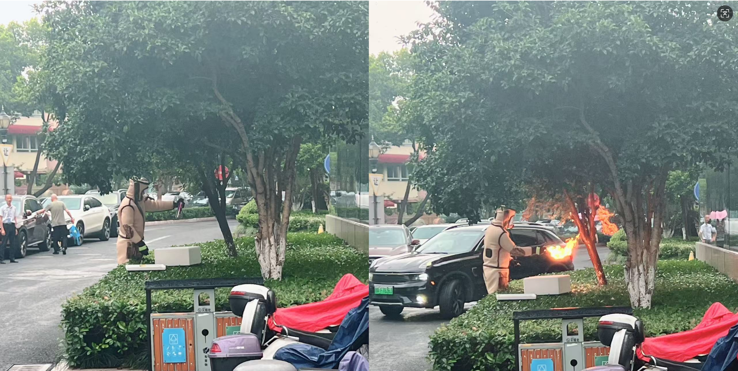 清静守护零距离，，，，，水晶城快速处理外围蜂群隐患