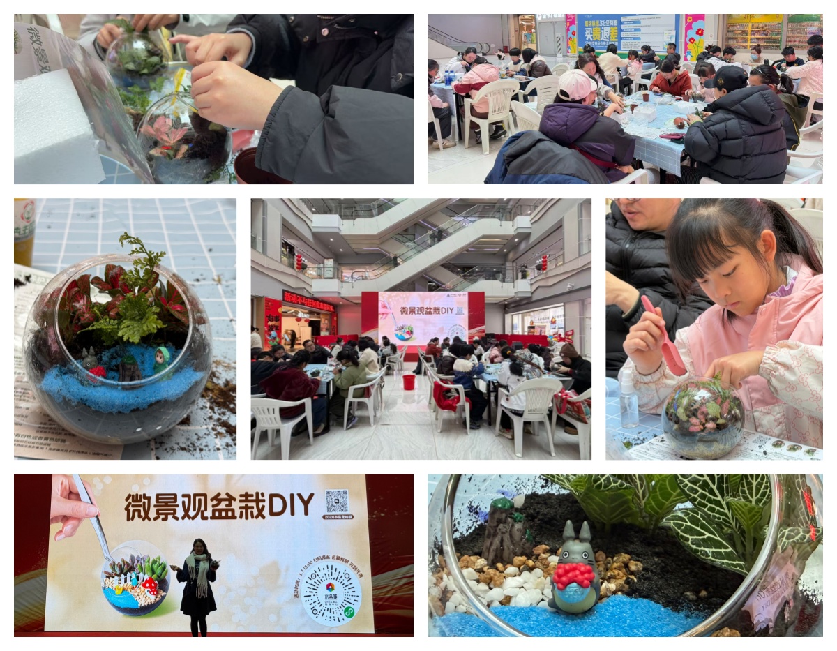 巧手造微景，，，指尖绽春意——水晶城微景观盆栽 DIY 活动圆满举行