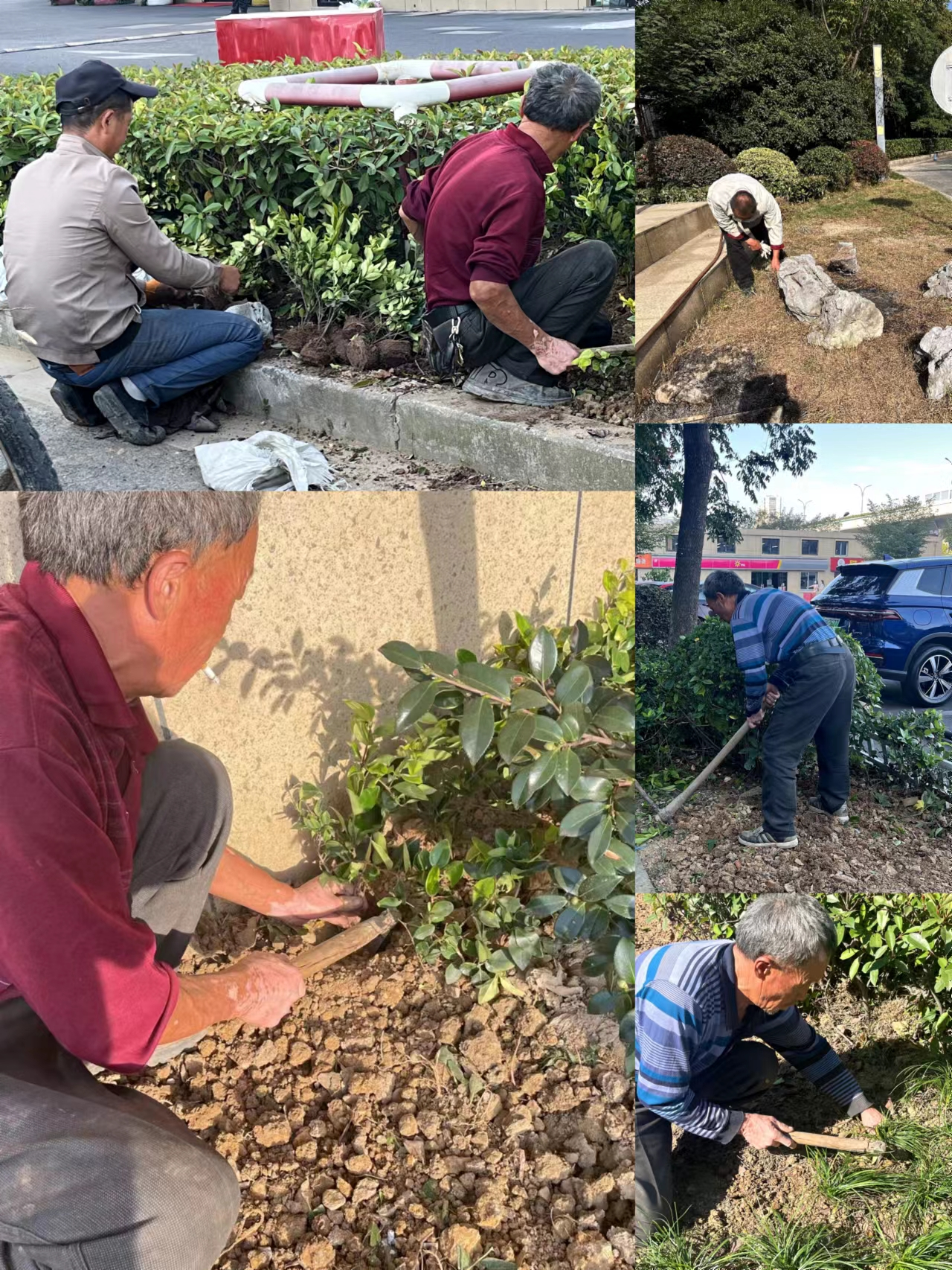 园区情形双升级，，，，，焕然新风提水准