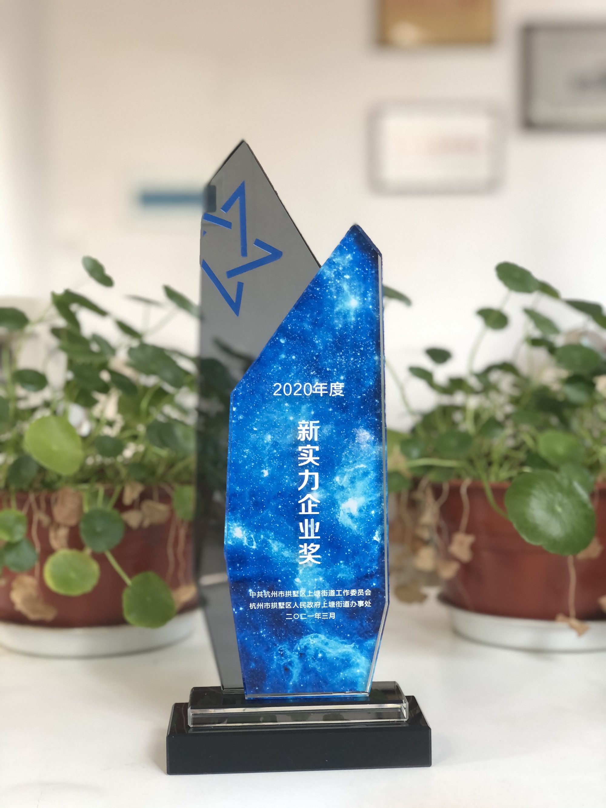 浙江9227新葡的京集团网络科技有限公司荣获“新实力企业奖”