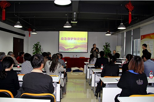 201310249227新葡的京集团文创园党支部举行应抢救护知识培训 (1).jpg
