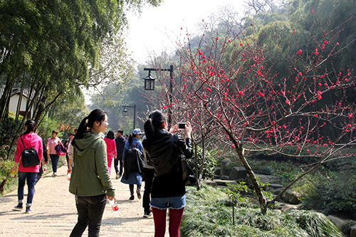 20150329爬山活动 (6).jpg